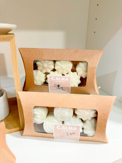 MINI BOX FLOWER MELTS - JARDIM BOTÂNICO